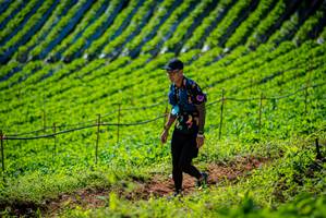 BIB: 
                            <button type="button" onclick="openModal(19161372)" class="btn btn-primary btn-sm float-right btn-popup" data-toggle="modal" data-target=".modal-high-quality">
                        <i class="fas fa-shopping-cart"></i> Add to Cart
                    </button>
                                            <button type="button" onclick="isThisMe(19161372, true)" class="btn btn-success btn-sm float-right btn-popup btn-isme hidden" data-toggle="tooltip" data-placement="bottom" title="นี่คือรูปของคุณใช่ไหม คลิกที่นี่เพื่อเอาเข้าอัลบั้ม">
                        <i class="fas fa-plus"></i> Add to album
                    </button>
                    <button type="button" onclick="isThisMe(19161372, false)" class="btn btn-warning btn-sm float-right btn-popup btn-isnotme hidden">
                        <i class="fas fa-ban"></i> Remove from album
                    </button>